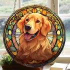 Dog/Typ6